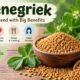 Foenegriek