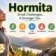 Hormita