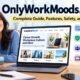 OnlyWorkMoods com
